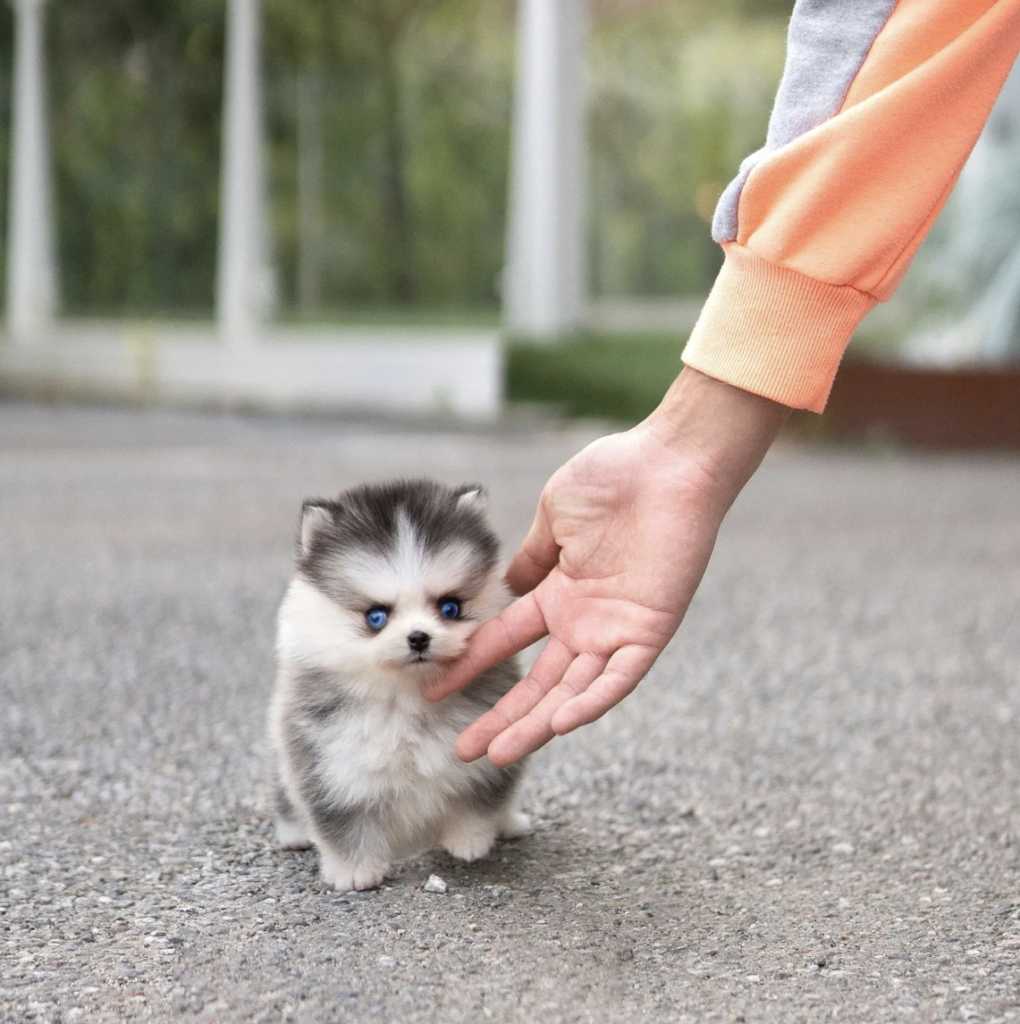 Screenshot_20240614-054248~2