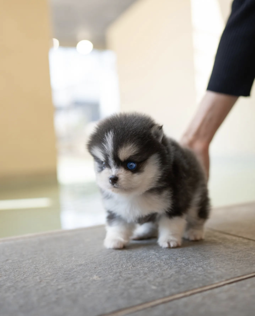 Screenshot_20240614-054731~2