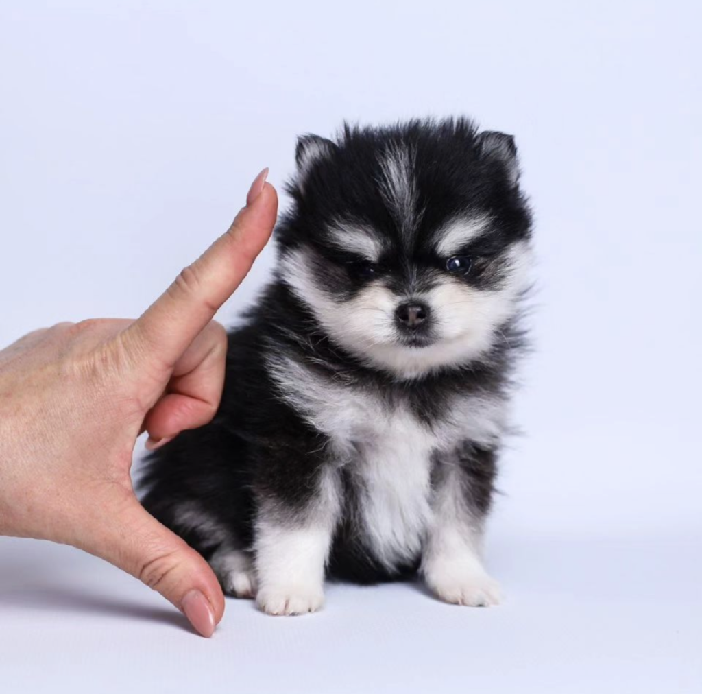 Screenshot_20240614-060354~2