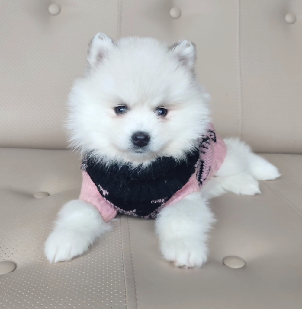 Screenshot_20240614-060428~2