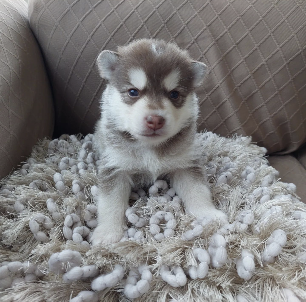 Screenshot_20240614-060948~2