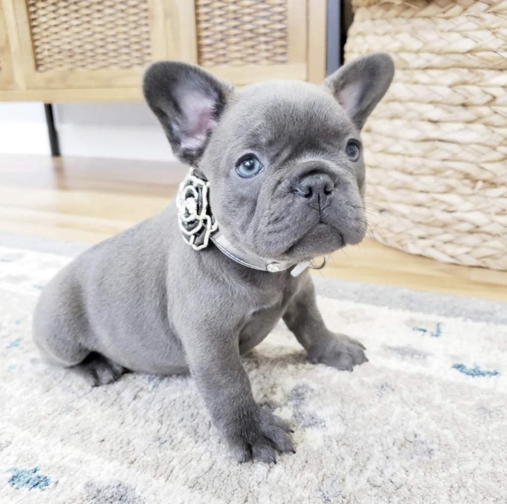 Screenshot_20240614-061252~2