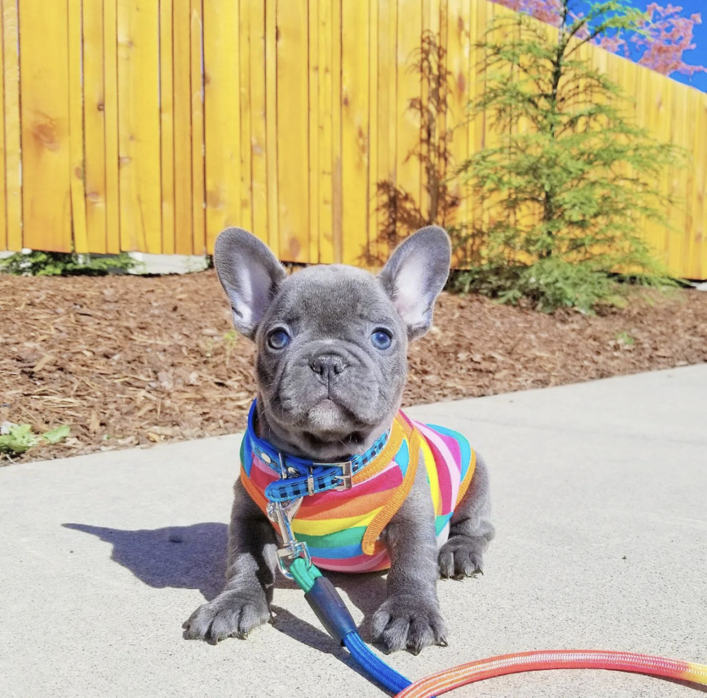 Screenshot_20240614-061325~2