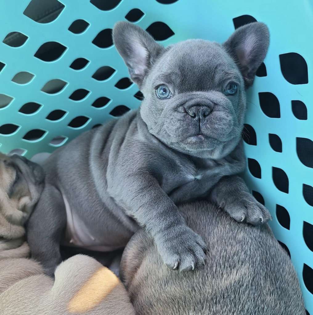 Screenshot_20240614-061350~2