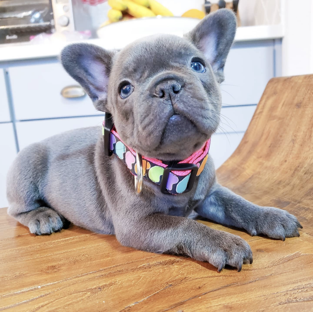 Screenshot_20240614-061515~2