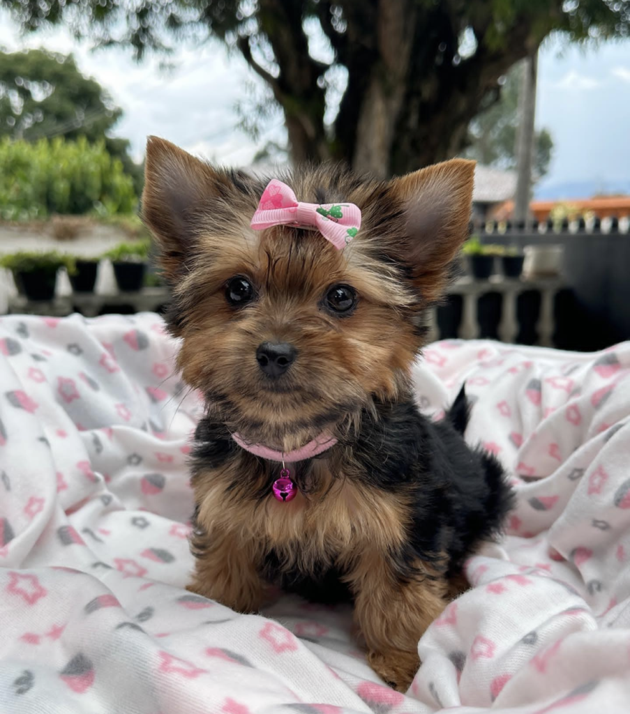 Screenshot_20240614-070938~2