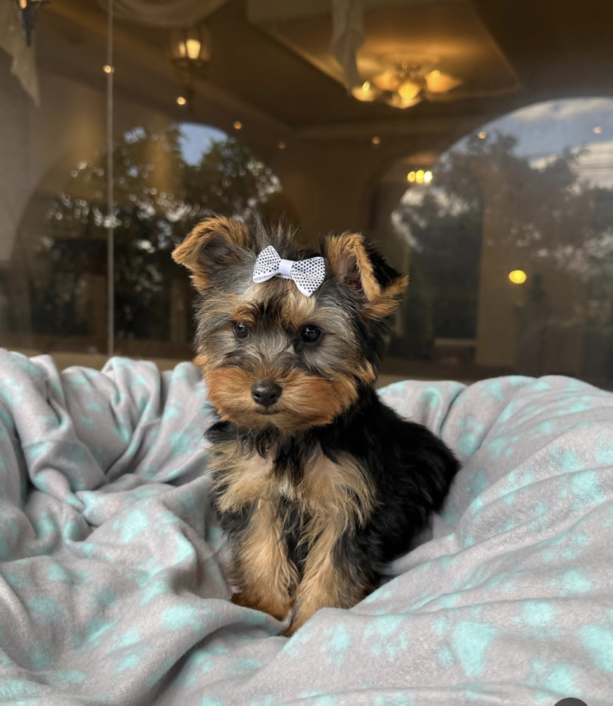 Screenshot_20240614-071036~2