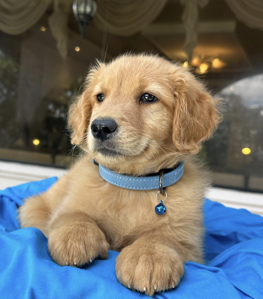 Screenshot_20240614-083438~2