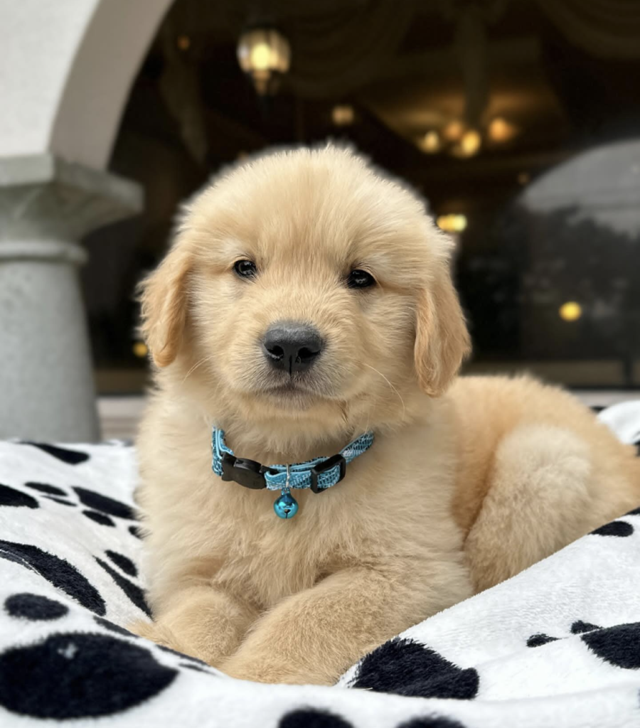 Screenshot_20240614-083629~2