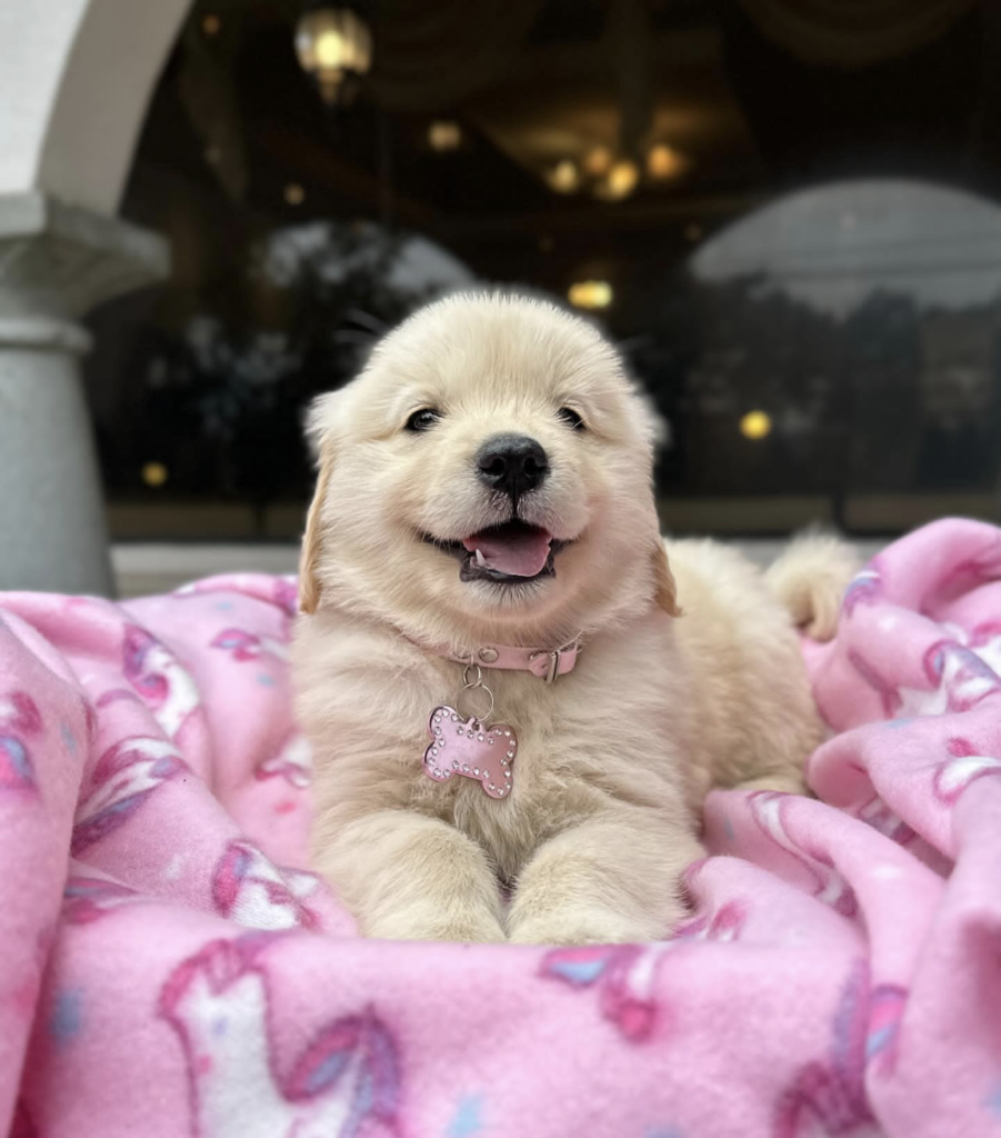 Screenshot_20240614-083756~2