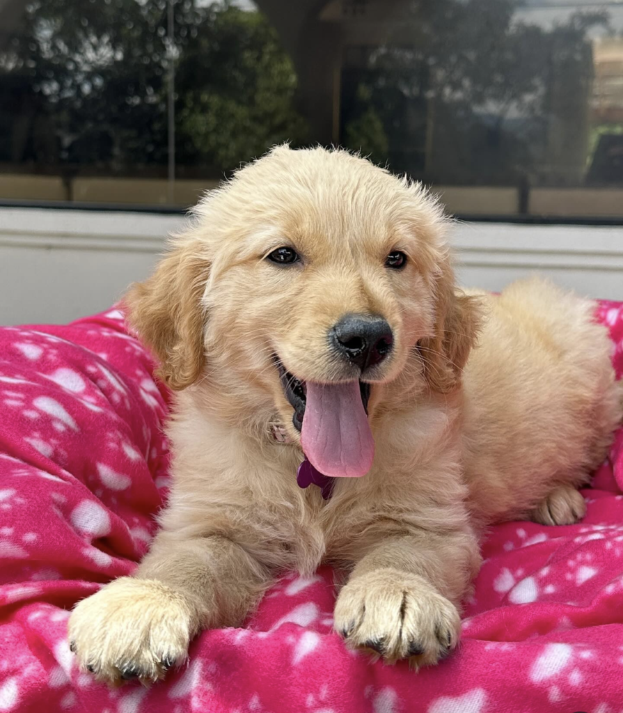 Screenshot_20240614-083814~2