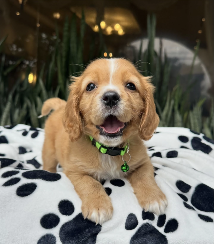 Screenshot_20240615-141614~2