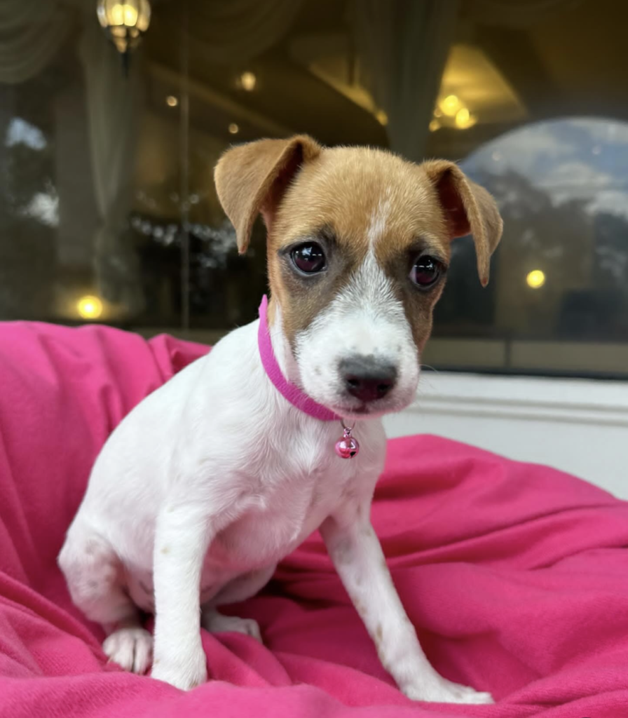 Screenshot_20240615-142749~2