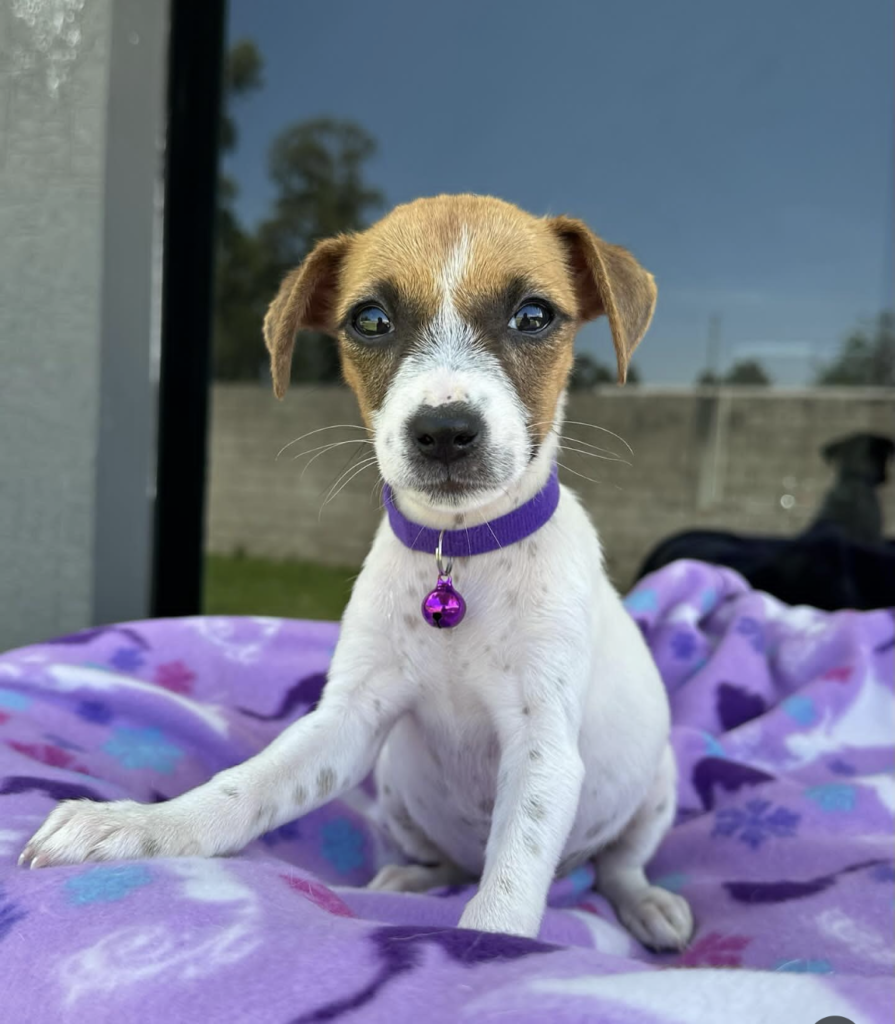 Screenshot_20240615-142914~2