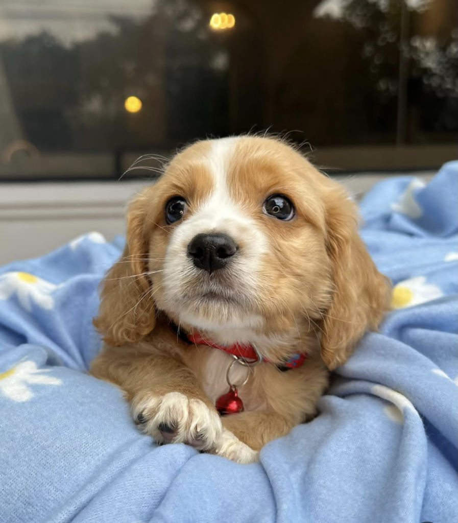 Screenshot_20240615-143350~2