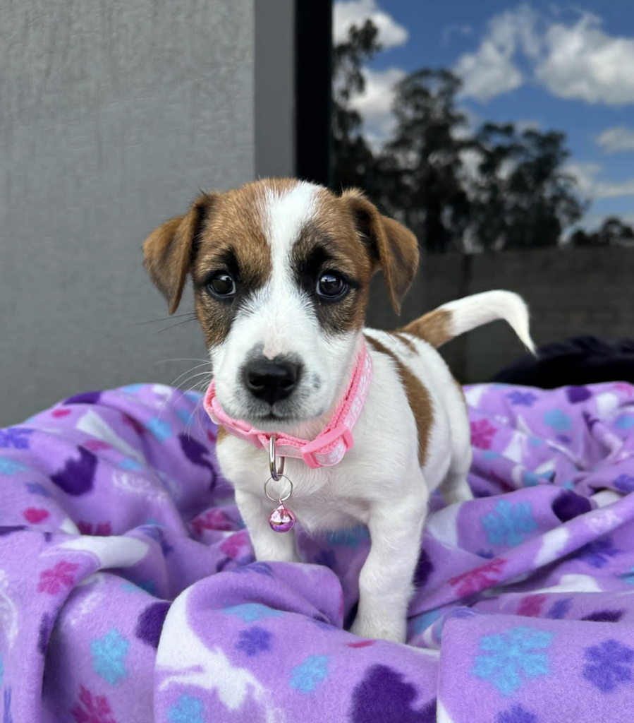 Screenshot_20240615-143548~2