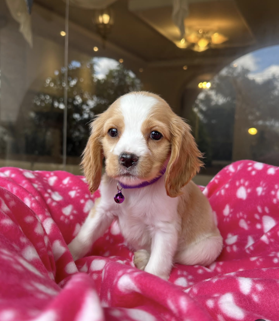 Screenshot_20240615-144350~2