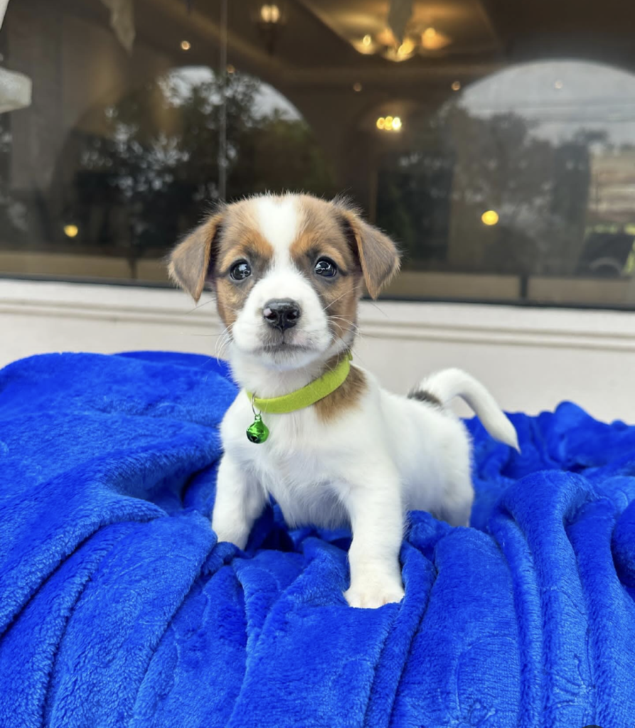 Screenshot_20240615-144622~2