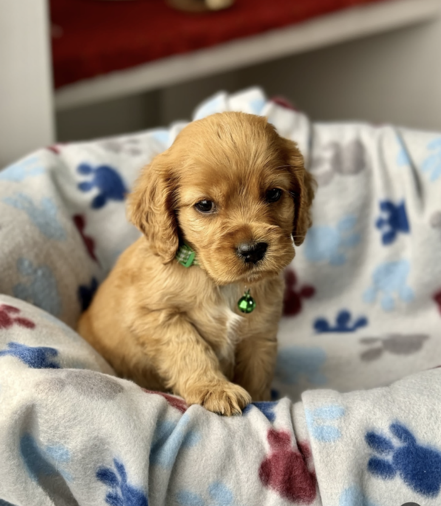 Screenshot_20240616-011028~2