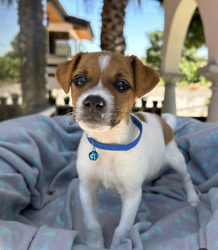 Screenshot_20240616-011257~2