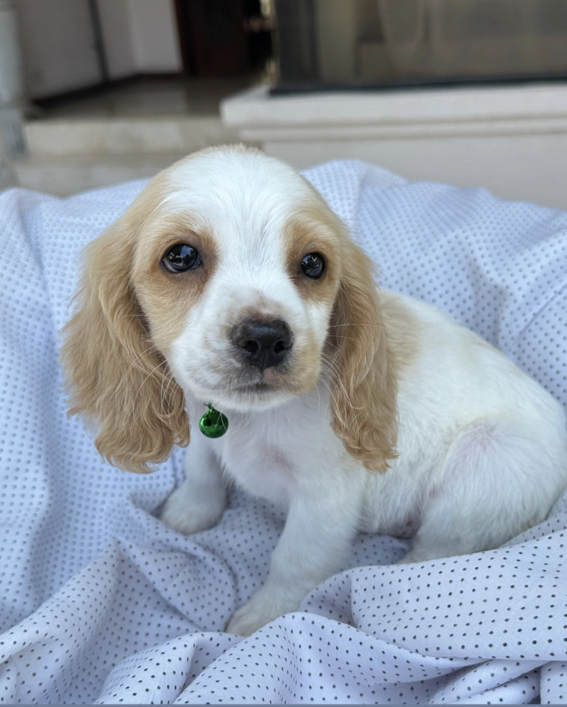 Screenshot_20240616-011543~2