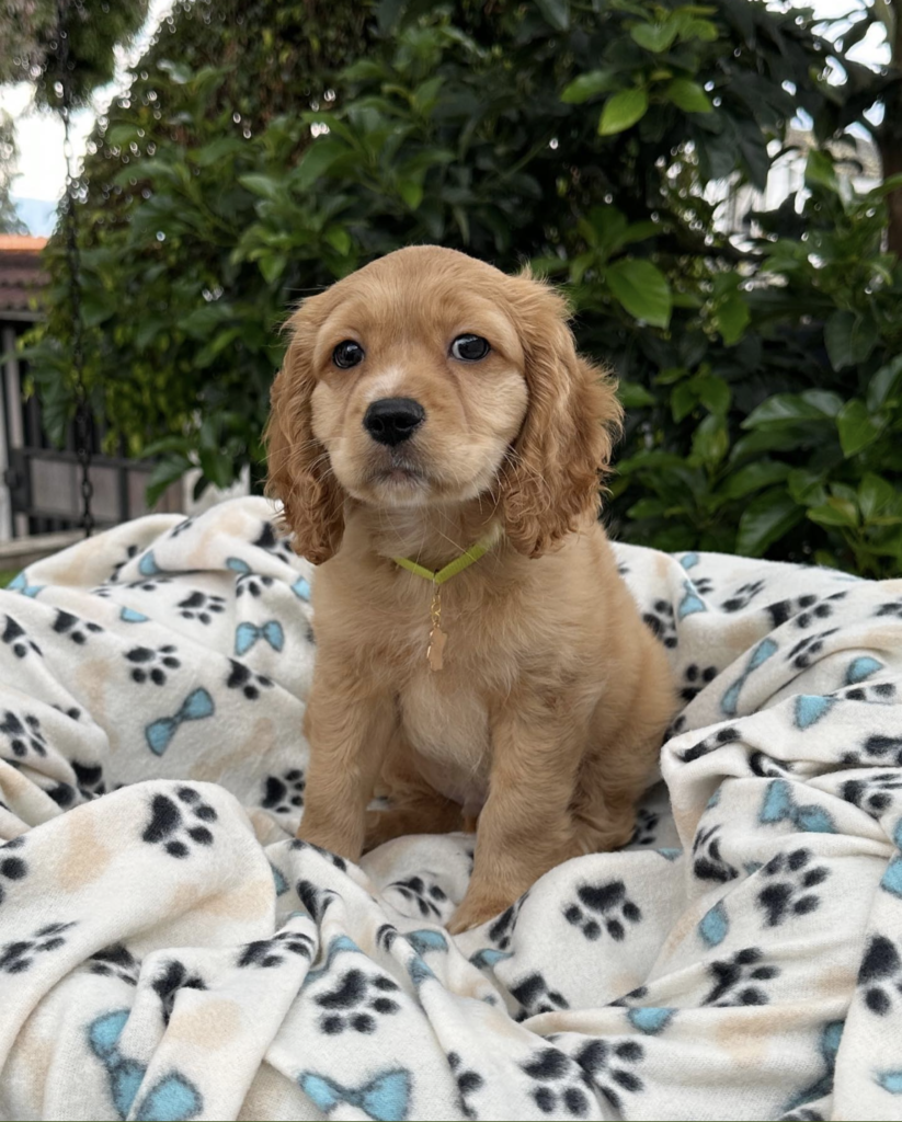 Screenshot_20240616-011626~2