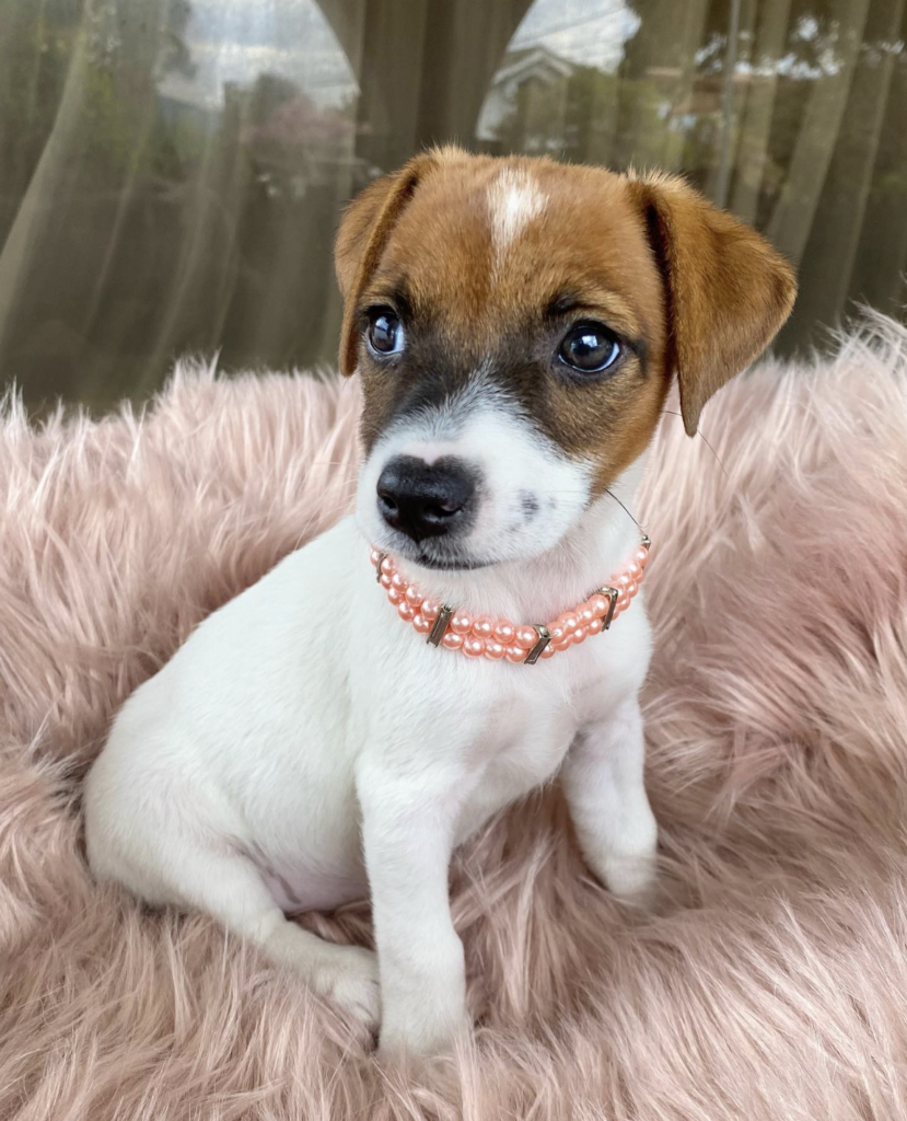 Screenshot_20240616-011737~2